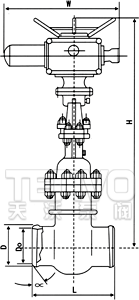 電動(dòng)對(duì)焊式真空隔離閘閥結(jié)構(gòu)圖